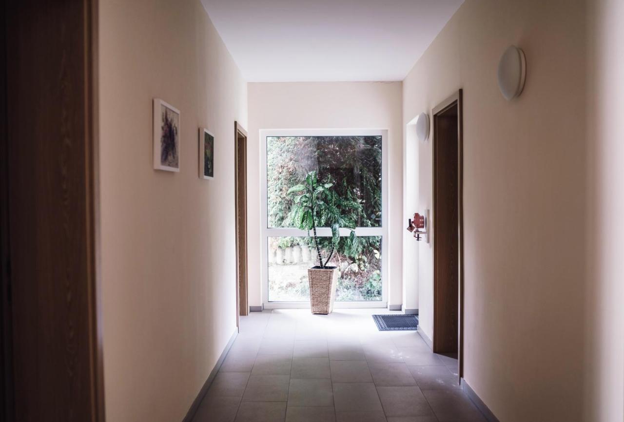 Hotel - Pension Vesta Bad Elster Ngoại thất bức ảnh