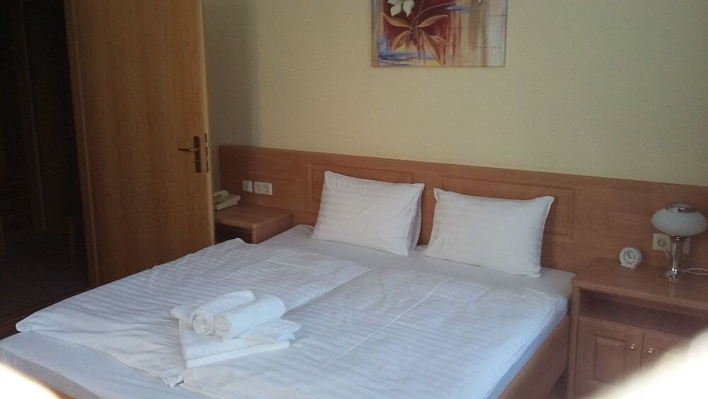 Hotel - Pension Vesta Bad Elster Ngoại thất bức ảnh